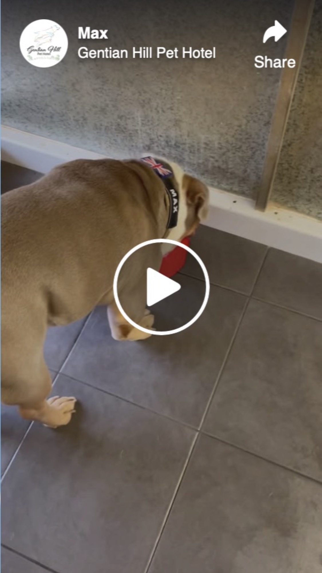 Max gets food
