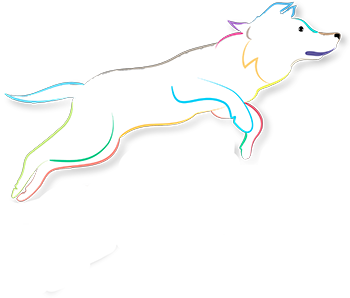 Dog jumping joyfully: an illustration from our logo of a white dog with a body border of cheerful soft colours, jumping up from left to right, a very happy dog