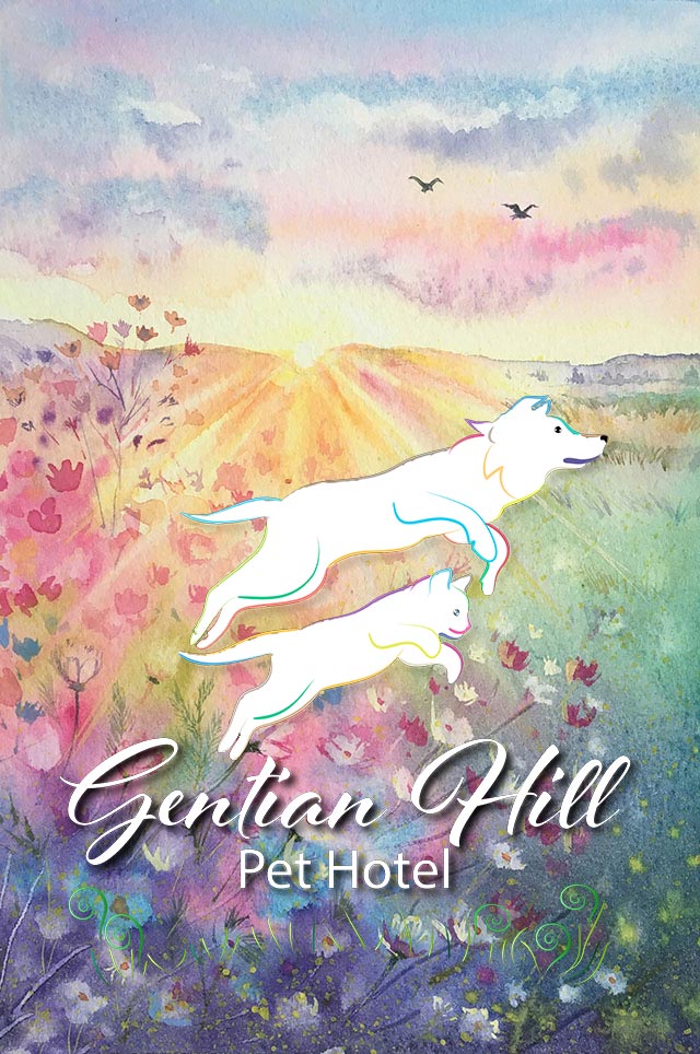 Watercolour meadow in soft pastel shades  with our logo of a dog and cat jumping joyfully over our name