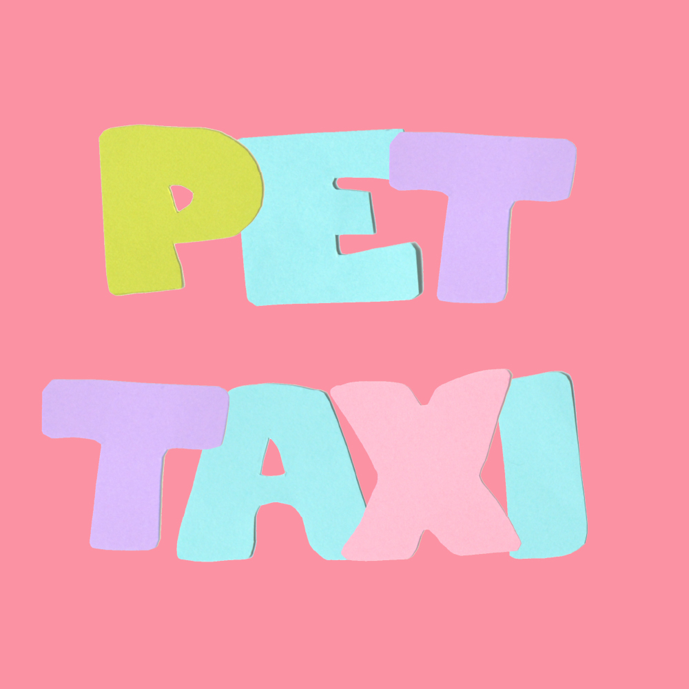 Pet Taxi spelled out in colourful pastel paper letters on pastel coral background