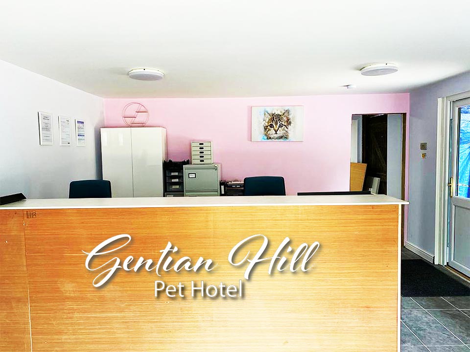About Gentian Hill Pet Hotel