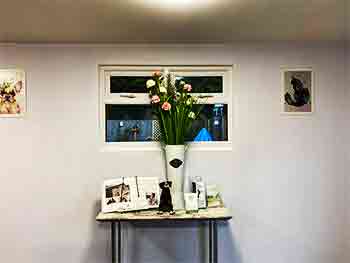 Reception with table, flowers, books and leaflets, and paintings of a cat and a dog