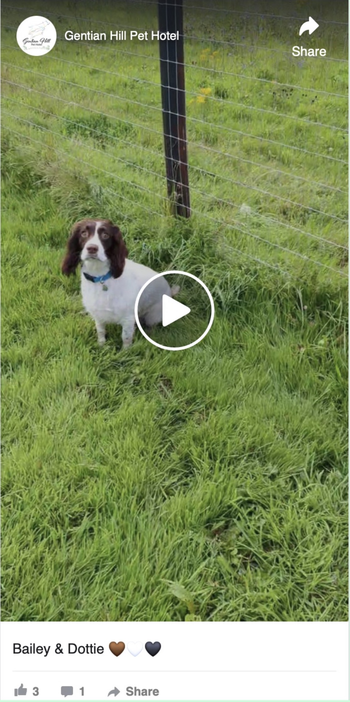 Dottie in the secure fields